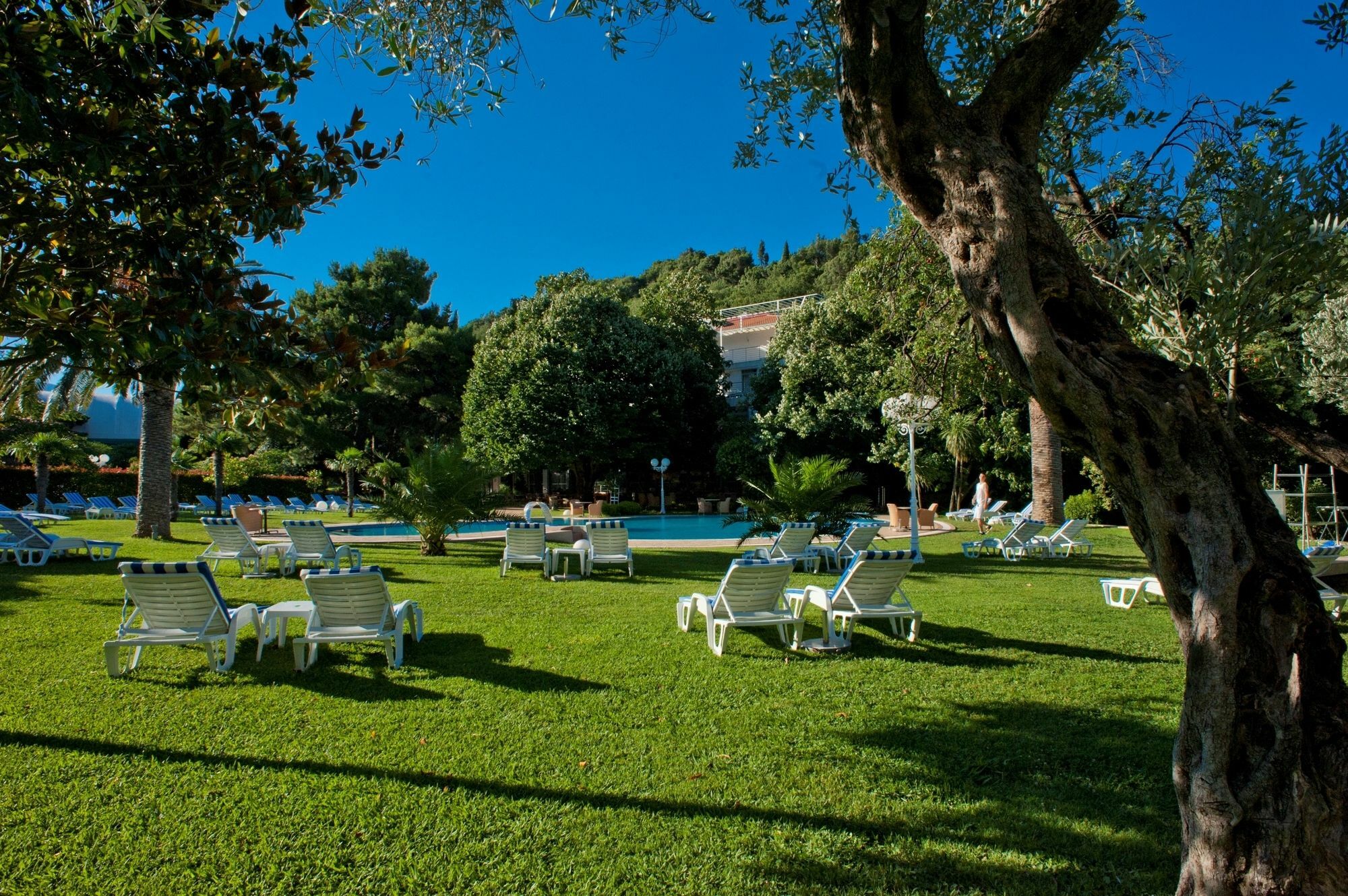 فندق ريفيجيرا Petrovac المظهر الخارجي الصورة